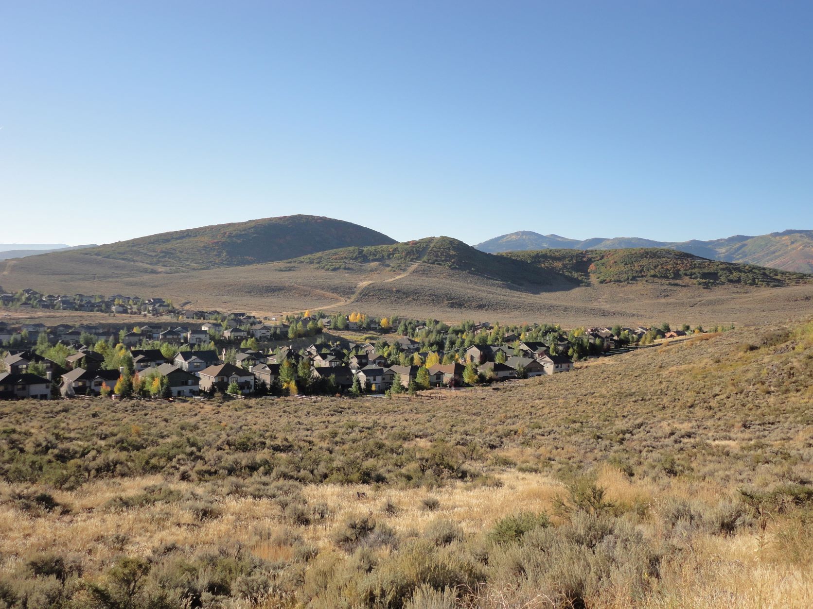 Trailside Area